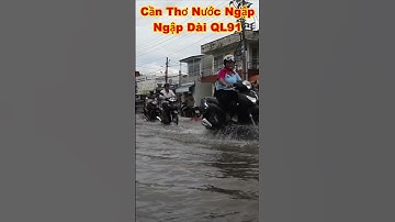 CẦN THƠ NƯỚC NGẬP QUỐC LỘ 91 đoạn đường nước ngập do triều cường dâng lên #shorts