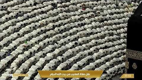 ماتيسر من سورة فصلت لـ فضيلة الشيخ #فيصل_غزاوي من صلاة المغرب ٥ جمادي الآخرة ١٤٤٥هـ
