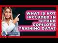What GitHub Copilot's Training Data Doesn't Cover