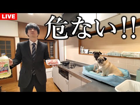 【料理ライブ】人生で初めて唐揚げ作ったらチャット大荒れでヤバい…