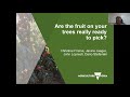 Are the fruit on your trees really ready to pick with Christine Frisina (webinar recording)