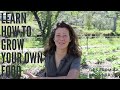 Teaching myself how to grow our own food - 3 Tips from a beginner gardener - Off-grid in Portugal