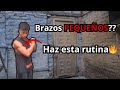 Deja de tener Brazos Pequeños| RUTINA COMPLETA | Principiante-Intermedio