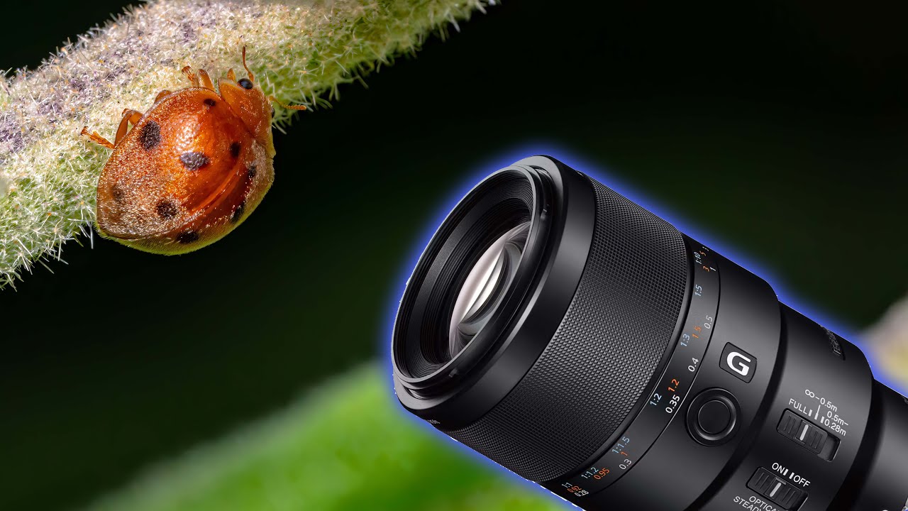 Sony Fe 90mm Macro Used