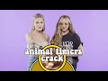 Little Mix Animal Timers Crack