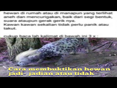 Video: Apakah arthro merupakan awalan?