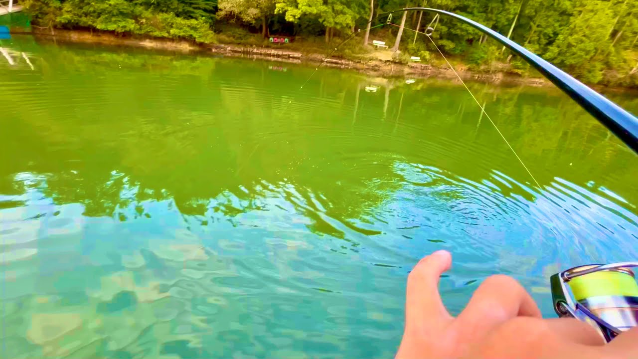 【激ウマ！】デカイワナを釣って食う！！！【エリアトラウト】