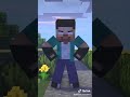 Minecraft Ragdoll Animation