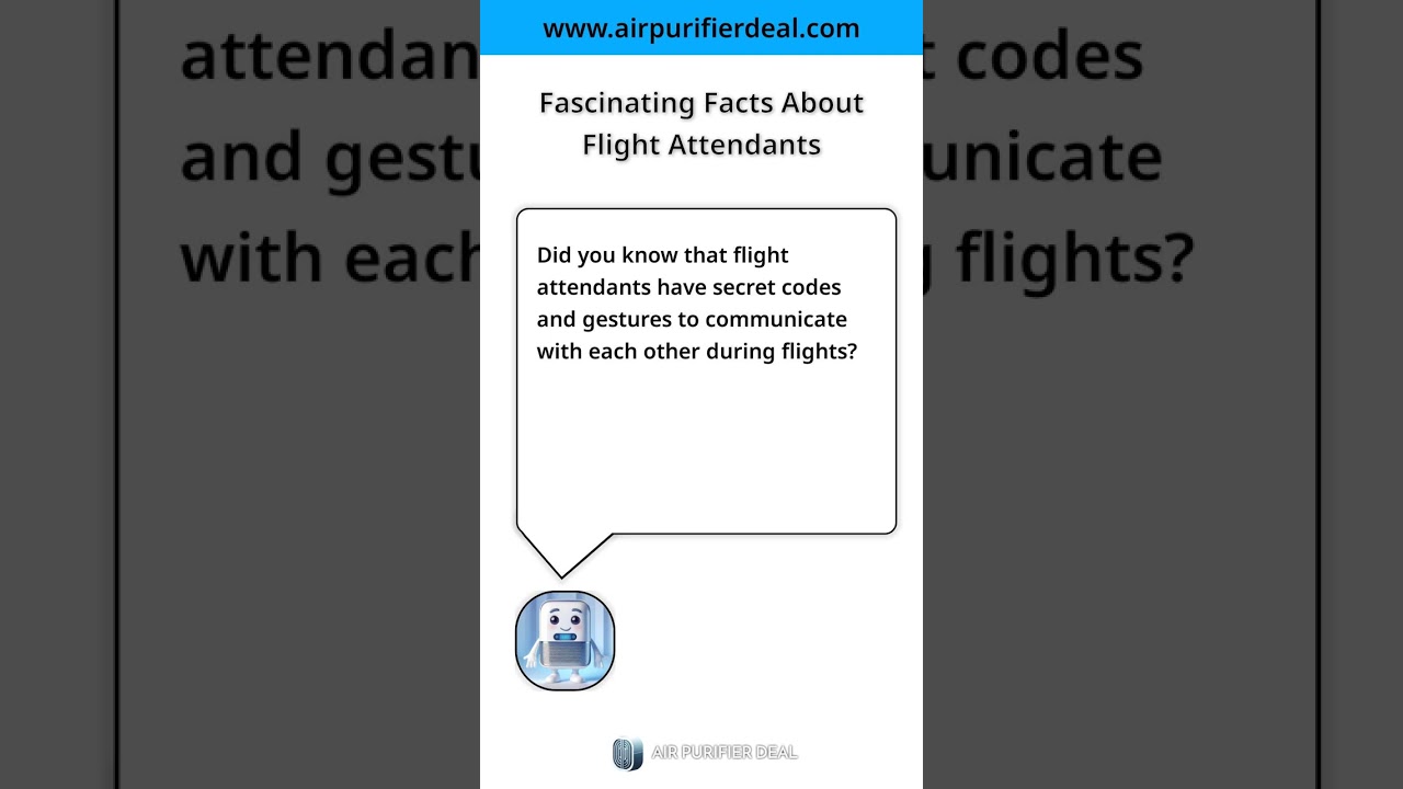 Fascinating Facts About Flight Attendants
