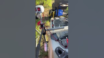 Water snake trolling motor review