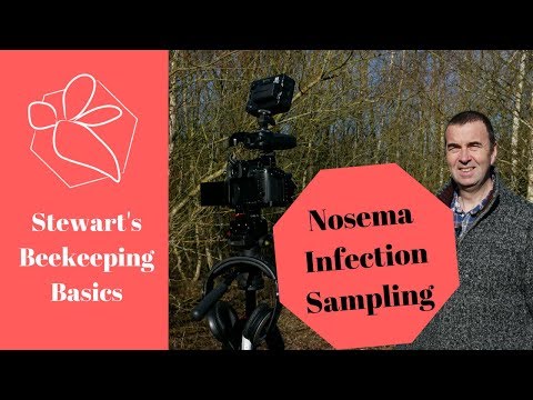 Video: Nosema Locustae Mồi cho Vườn - Cách Sử dụng Thuốc Kiểm soát Sâu bọ Nomesa Locustae