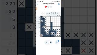 Nonogram.com - Nonogram Adventure -   Level 8 - Aug 2022 - Little Games