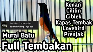 MASTERAN MURAI BATU FULL ISIAN TEMBAKAN MEWAH, REQUEST VIDEO PENDEK DARI PENONTON