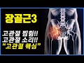 고관절 통증/ 고관절 찝힘/ 고관절 소리/ 골반 통증/ 고관절, 골반 마사지/ 장골근 운동!!