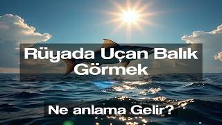 Ruyada Ucan Balik Gormek Ne Anlama Gelir Ve Neye Isaret Eder