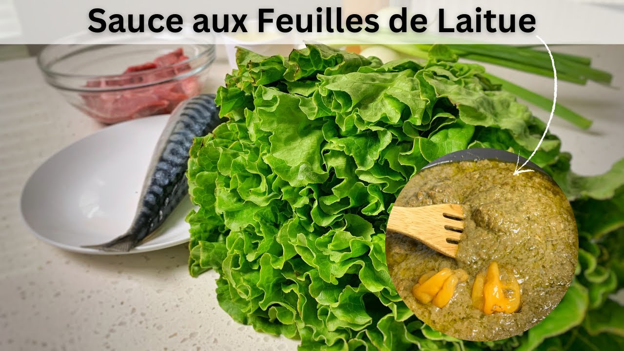 Mafe Hacko Essayez cette Recette đŹđł de Sauce aux Feuilles de Laitue || MafĂš Hako ...