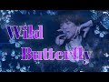 access 「Wild Butterfly」access TOUR 2023 ULT
