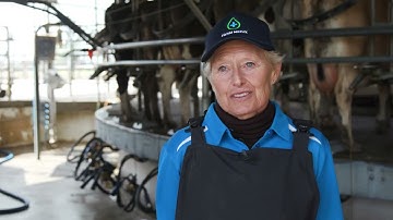 Why RMT/CMT your cows? Dr Jess Shelgren, DVM explains WHY and WHEN to perform an RMT.