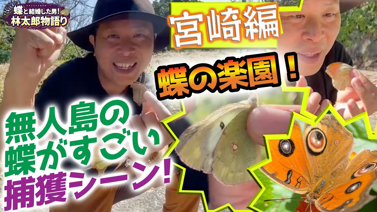 宮崎県#5】あのチョウを捕まえた！無人島！大島！ちょうちょ採集特集