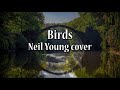 Birds - Neil Young cover