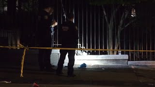 Person of interest in custody after deadly shooting in the Bronx Profile