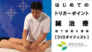 はじめてのトリガーポイント鍼治療【DVD】