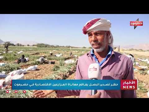 حظر تصدير البصل يفاقم معاناة المزارعين الإقتصادية في حضرموت