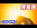 COD WW2 ショットガン 焼夷弾 でBOTと遊ぶマック堺ゲーム実況