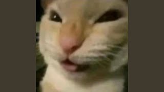 muehehehe - Internet memes