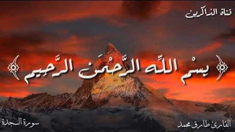القارئ طارق محمد تلاوة تفيض جمالاً ارح بها سمعك وقلبك سورة السجدة