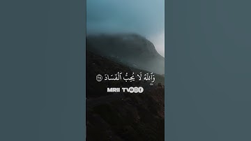 ماهر المعيقلي - سورة البقرة ( برواية حفص عن عاصم ) الأية 204 - 206