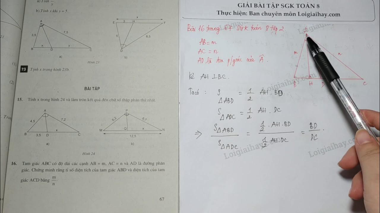Giải Bài 16 Trang 67 Sgk Toán 8 Tập 2 - Youtube