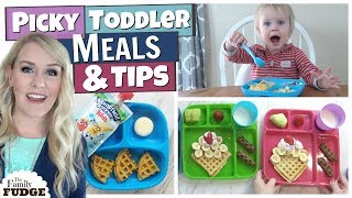 Today i'm sharing what i feed my picky toddler! also a few easy tips
for getting him to actually eat! today's video is collab with the
amazing ...