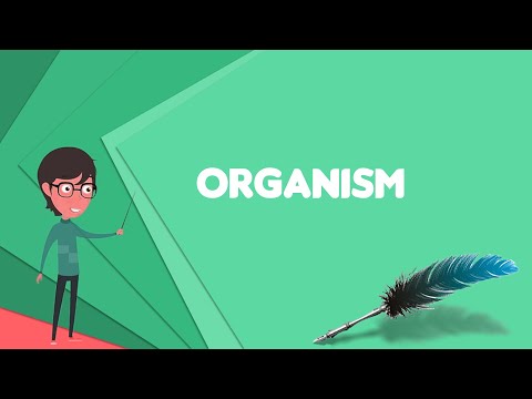 What is Organism? Explain Organism, Define Organism, Meaning of Organism