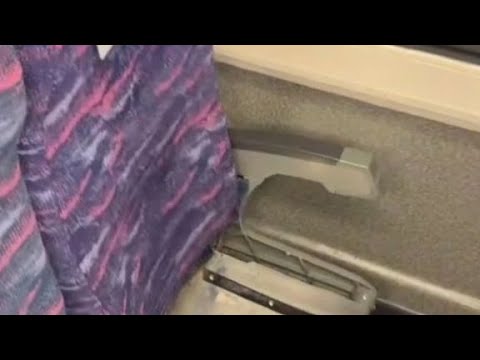 貝殼播報
