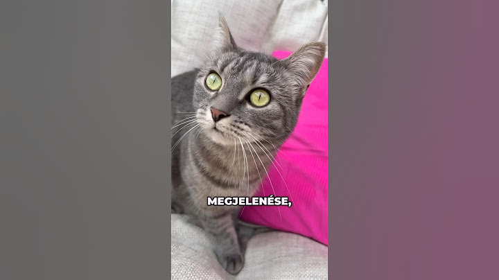 A hosszú élet titka macskáknak! 🩷 #magyar #hungary #macska #cats #drinkwater #pets #petlover #love