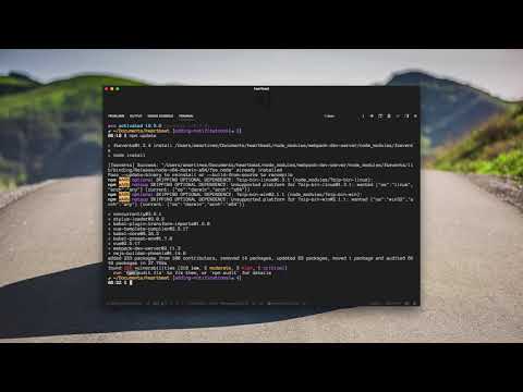 30 - npm