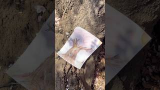 🌸 EIEN 🌸 JO1DER SHOW 2026 'EIEN 永縁' #JO1 #JO1DER_SHOW #EIEN #shorts