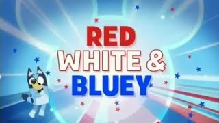 Disney Junior USA Continuity July 4, 2020 @continuitycommentary