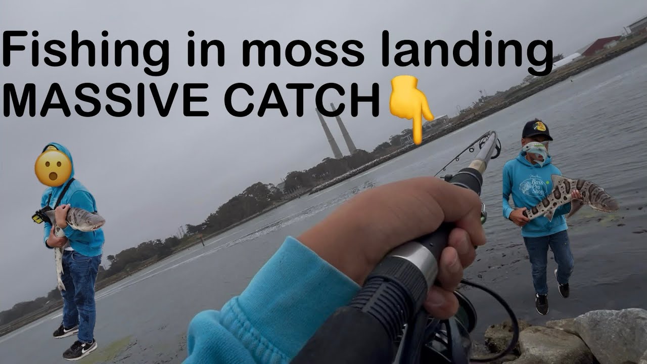 Fishing in moss landing (MASSIVE CATCH)