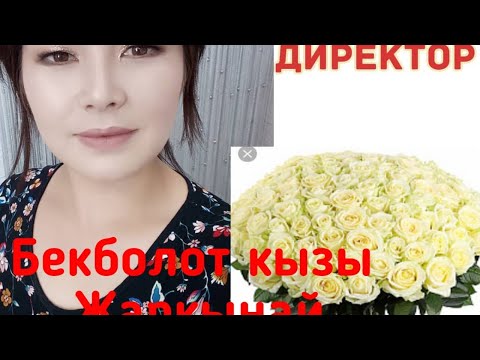 Video: Система деген эмне?