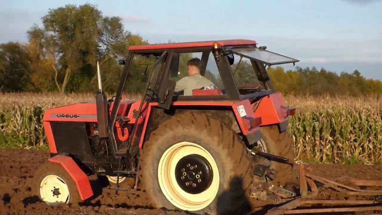 Bronowanie u GR10Fedyk. ZOBACZ! Ursus 912 + brony 5.