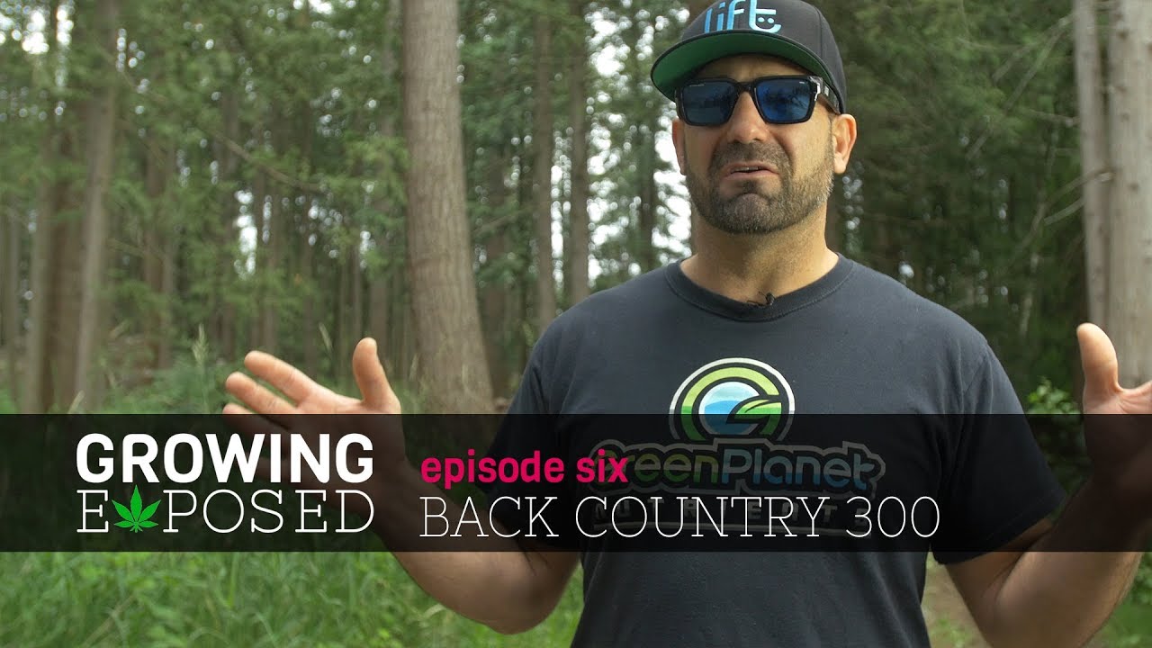 Growing Exposed Episode 6 Back Country 300 GARDEN TOUR YouTube