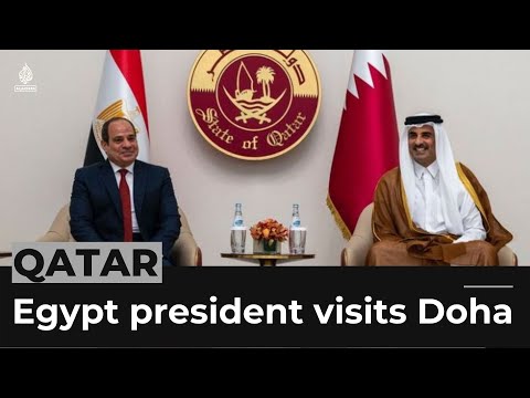 Egypt's sisi lands qatar in first official after four-year row