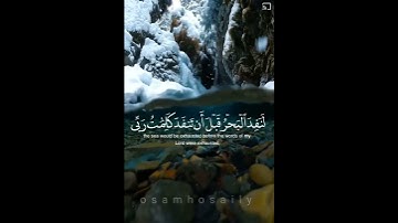 🌴قل لو كان البحر مداد لكلمات ربي🌴/ القارئ / اسلام صبحي