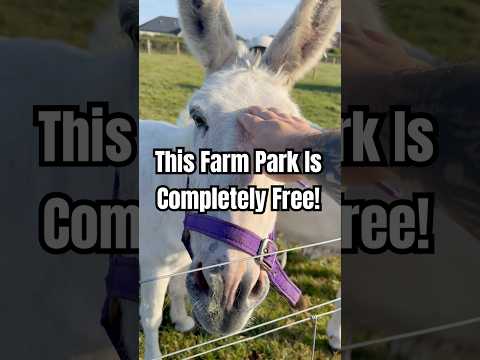 This Farm Park Is Completely Free #shorts