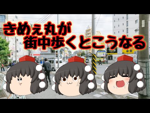 ゆっくり茶番 きめぇ丸が街中歩くとこうなる 異常 Youtube