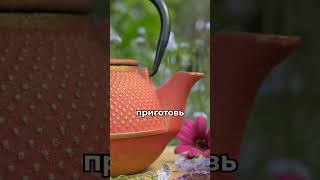 Здесь рассказываем о простых способах снизить стресс и улучшить сон #Аюрведа #Фитотерапия #Здоровье