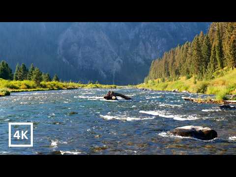 4K First Light on the Madison | Montana's Legendary Madison River | River Sounds for Sleep