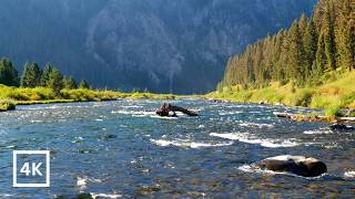 4K First Light on the Madison | Montana's Legendary Madison River | River Sounds for Sleep